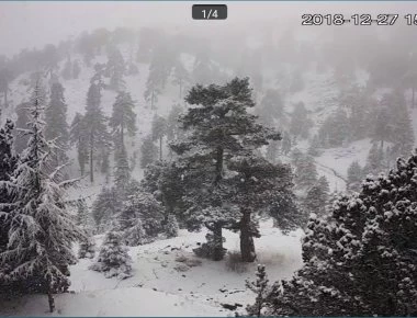 Κύπρος -Διάσωση Προσκόπων στο Τρόοδος:Καρέ-καρέ το χρονικό του ολονύχτιου θρίλερ (vid)